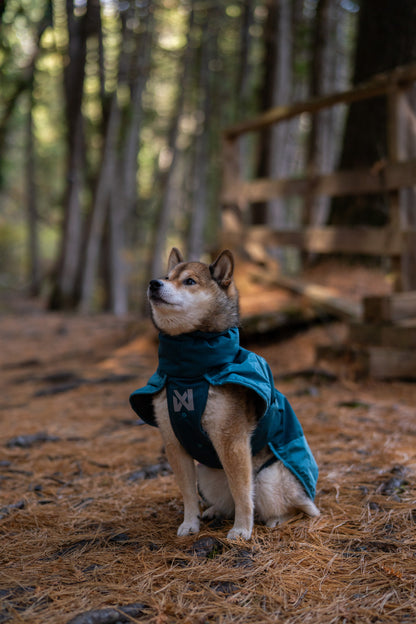 Non-stop dogwear - Glacier Dog Jacket 3.0