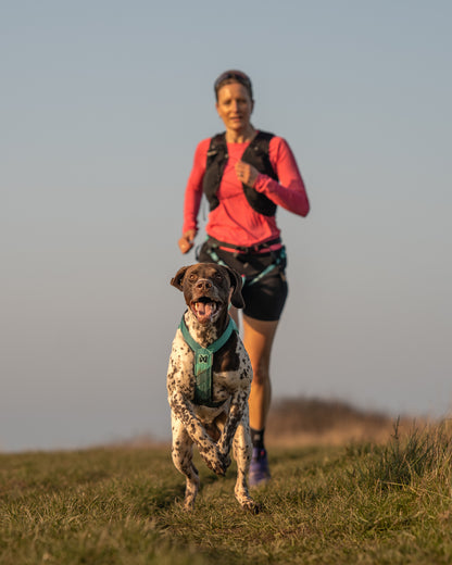Non-stop dogwear - CaniX Belt 2.0