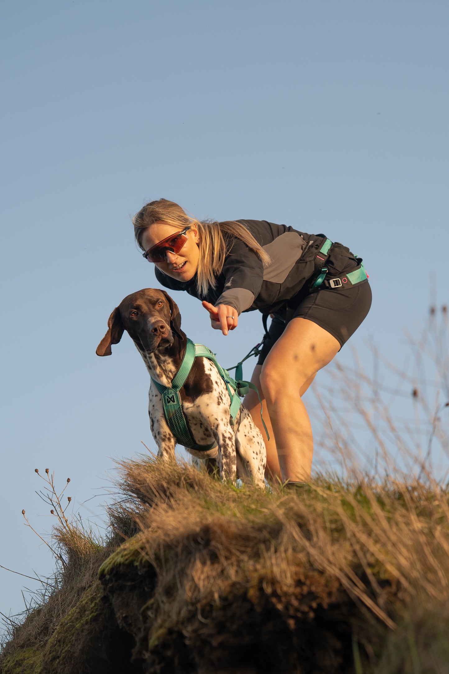 Non-stop dogwear - CaniX Belt 2.0