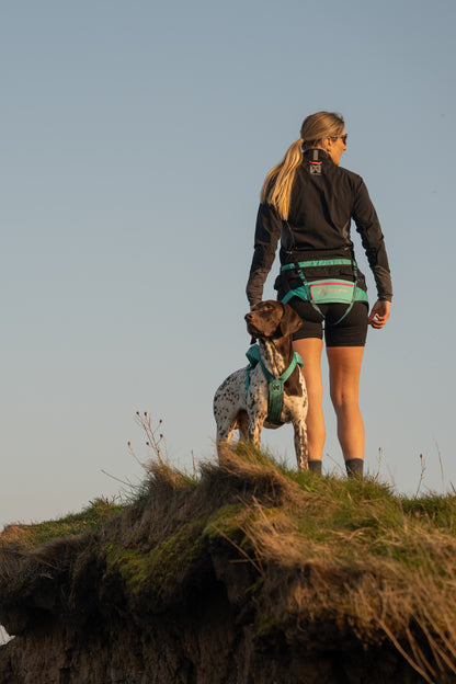 Non-stop dogwear - CaniX Belt 2.0