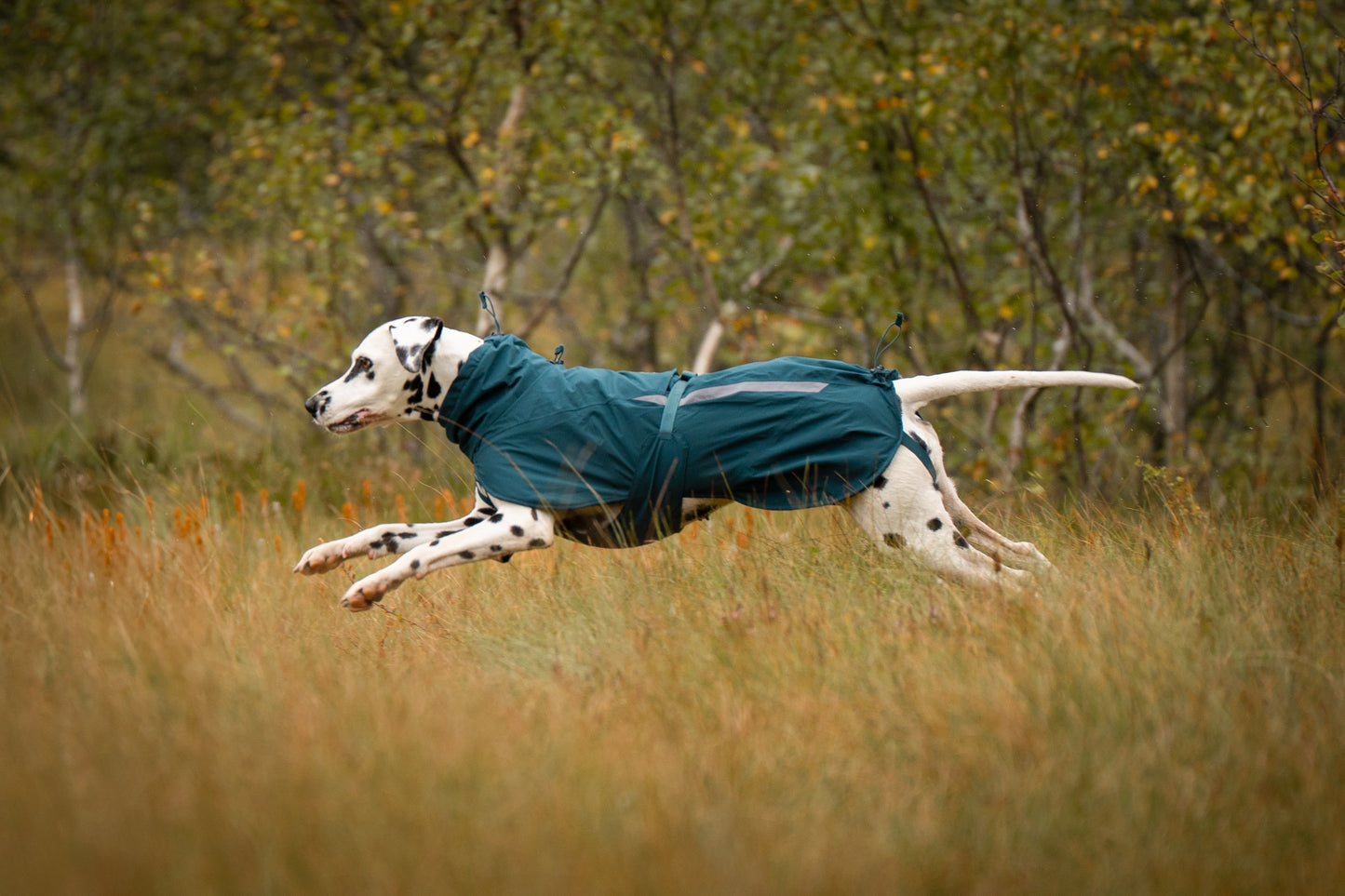 Non-stop dogwear - Fjord lined Raincoat