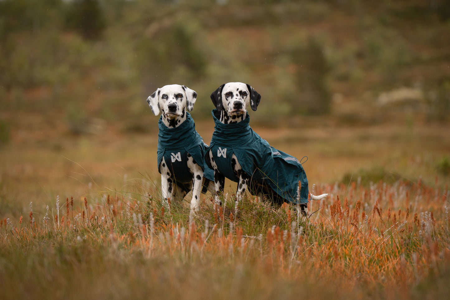 Non-stop dogwear - Fjord lined Raincoat