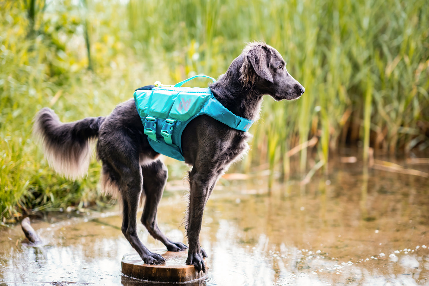 Non-stop dogwear - Protector Life Jacket