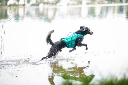 Non-stop dogwear - Protector Life Jacket