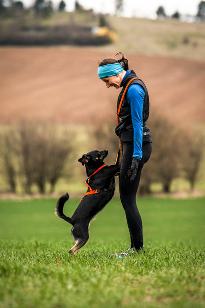 Non-stop dogwear - Rush harness