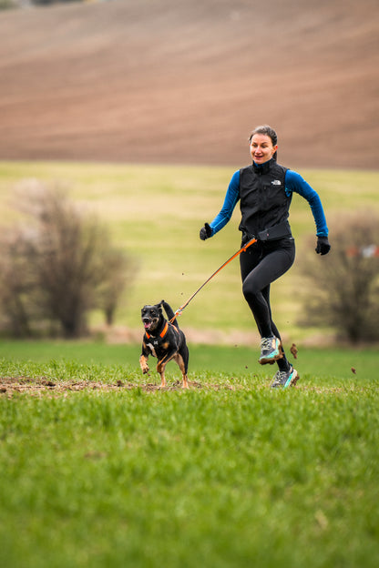 Non-stop dogwear - Rush harness