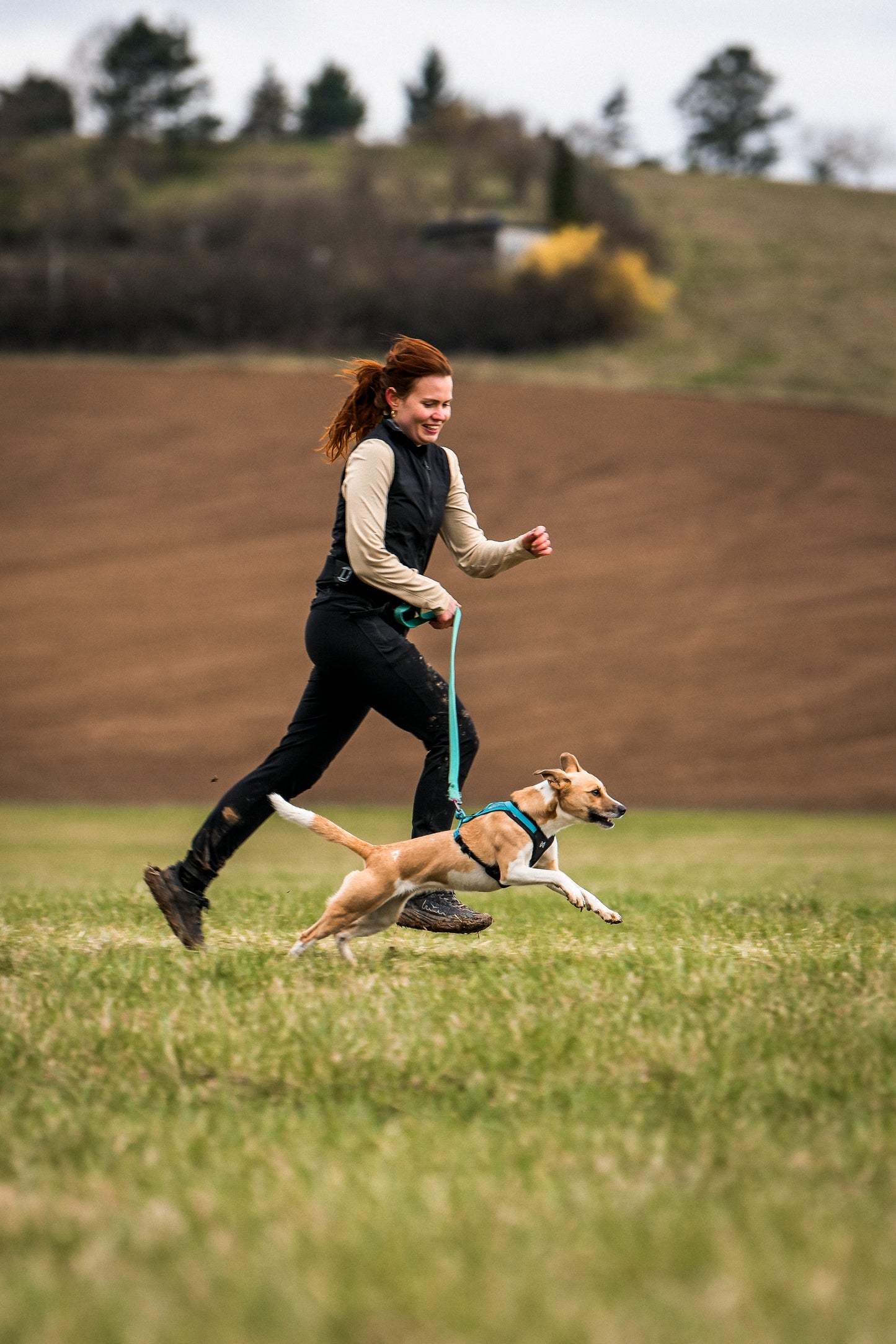Non-stop dogwear - Rush harness