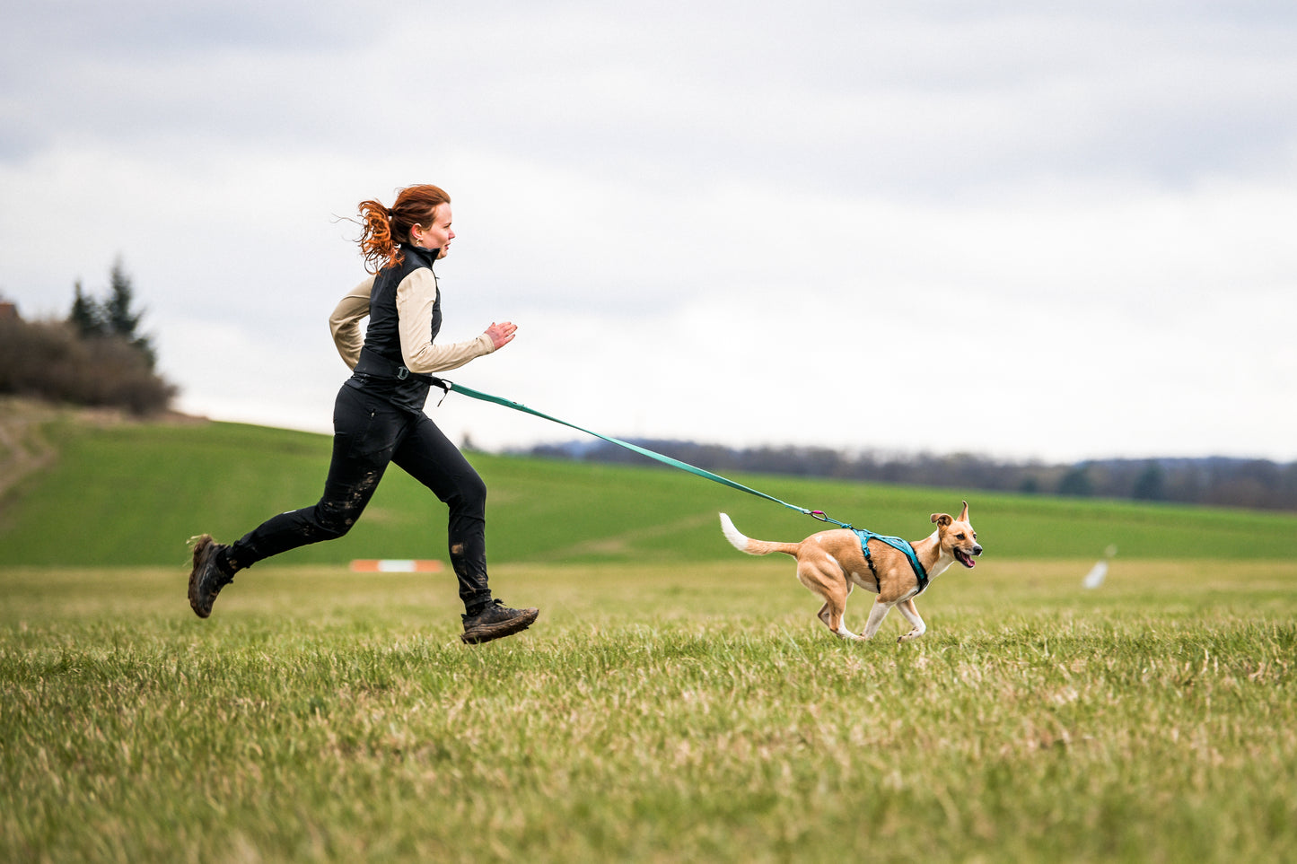 Non-stop dogwear - Rush harness