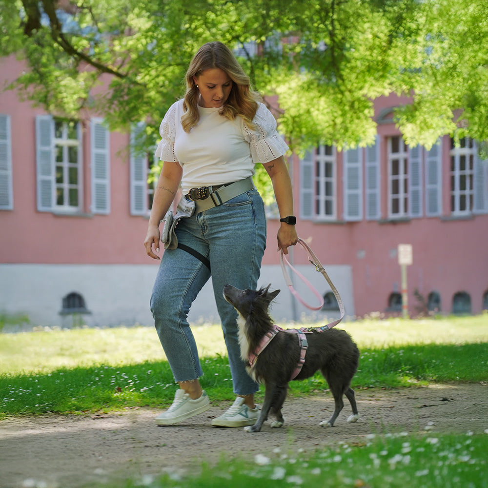 AnnyX Bolt Fun-Führleine