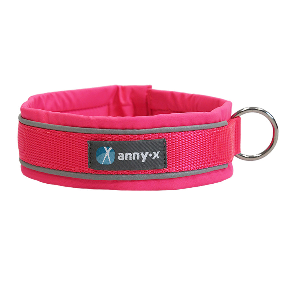 AnnyX Protect Buckle Collar