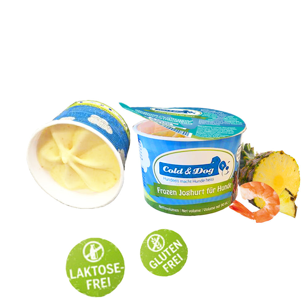 Cold & Dog Hundeeis Shrimps & Ananas 90ml