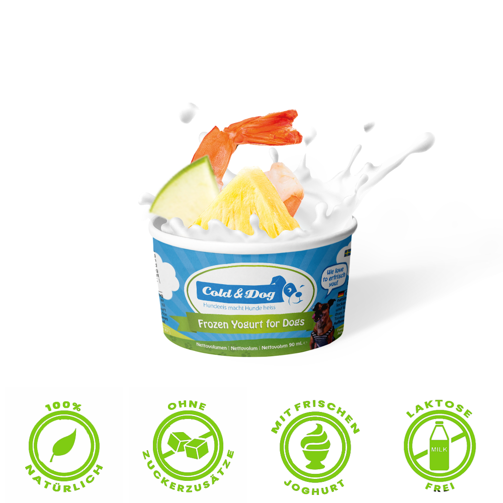 Cold & Dog Hundeeis Shrimps & Ananas 90ml