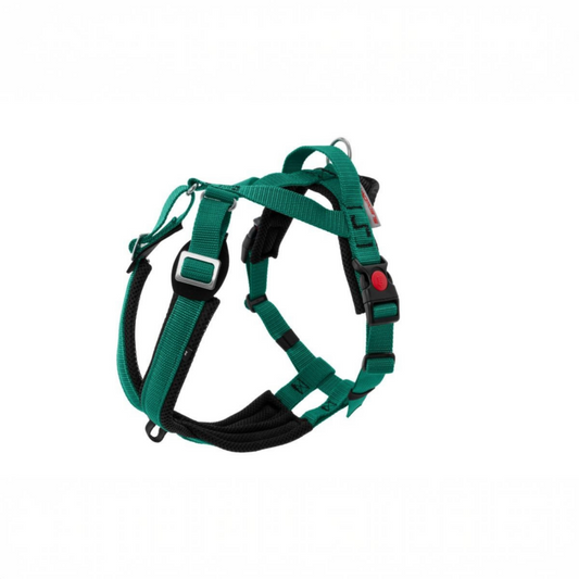 Sledding - Trekking Harness - Adventure
