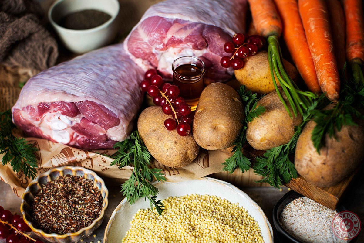 Cold-pressed dry food turkey w. carrot/currants