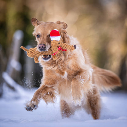 Christmas Dog Toy Dachshund – SANTA SAUSAGE