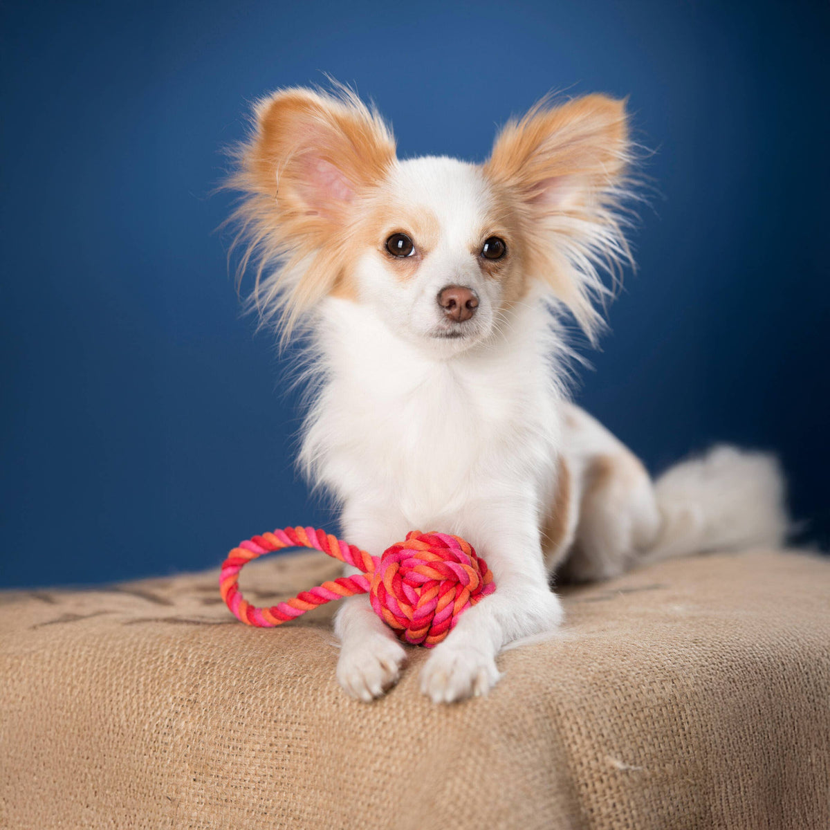 LABONI Cotton Toy – MINI SLING BALL