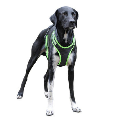 Weltmeisters Dogsport - Führ- und Zuggeschirr SAFETY