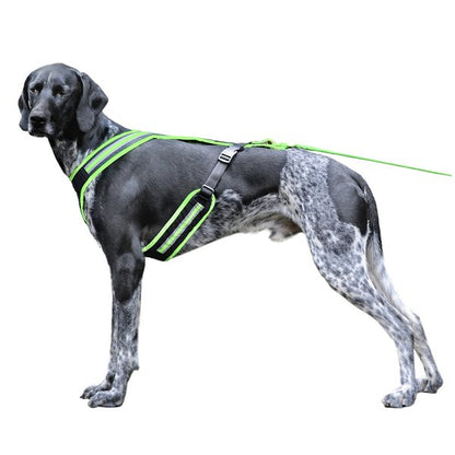 Weltmeisters Dogsport - Führ- und Zuggeschirr SAFETY