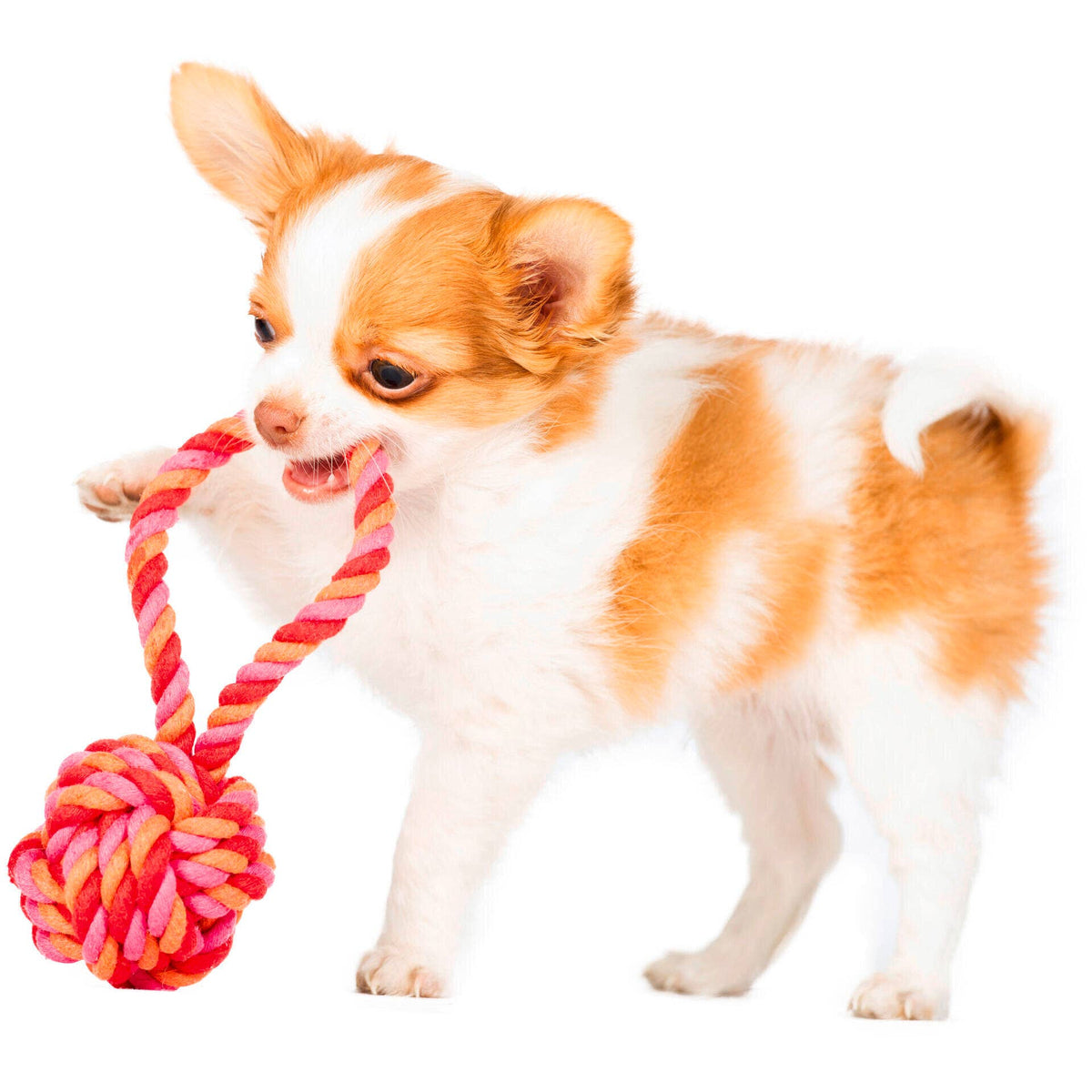 LABONI Cotton Toy – MINI SLING BALL