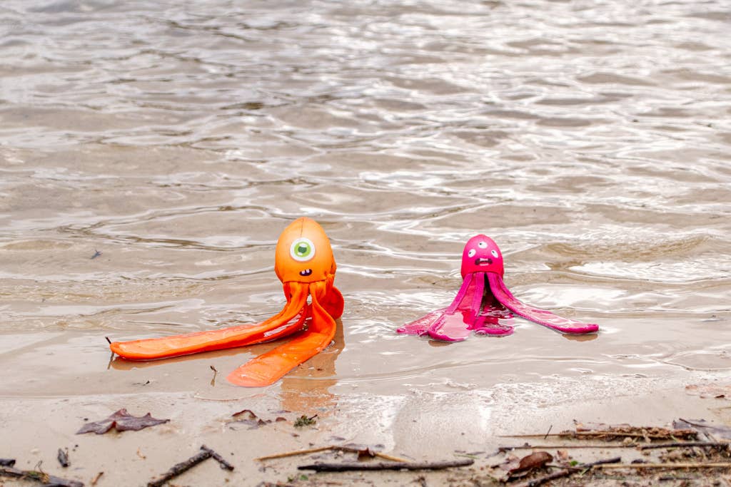 Dog Comets - Alien Octo Orange M