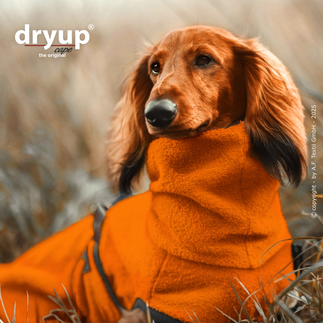Actionfactory - Dryup Cape Dackel - Hundebademantel
