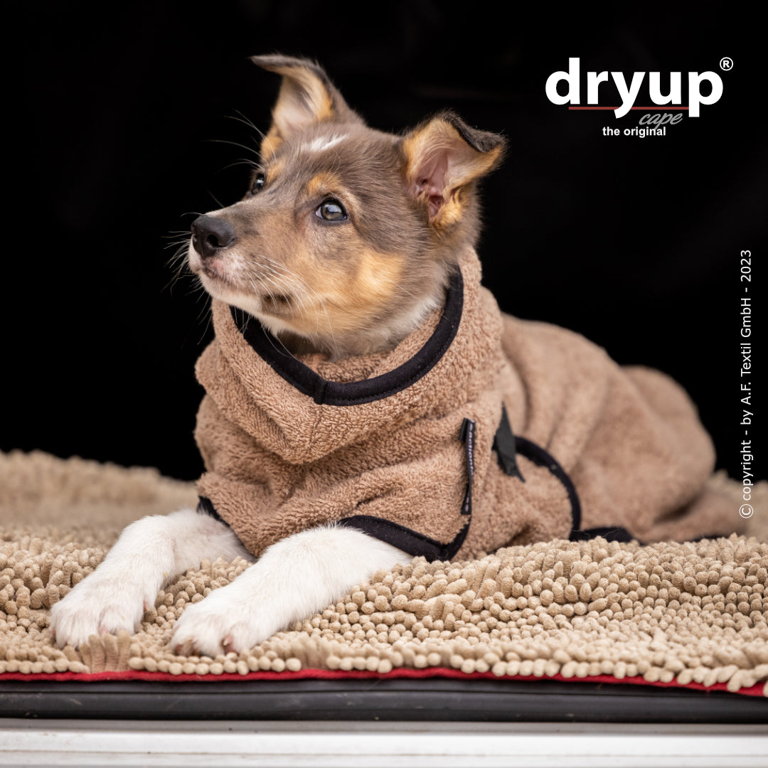Actionfactory - Dryup Cape Mini - Hundebademantel