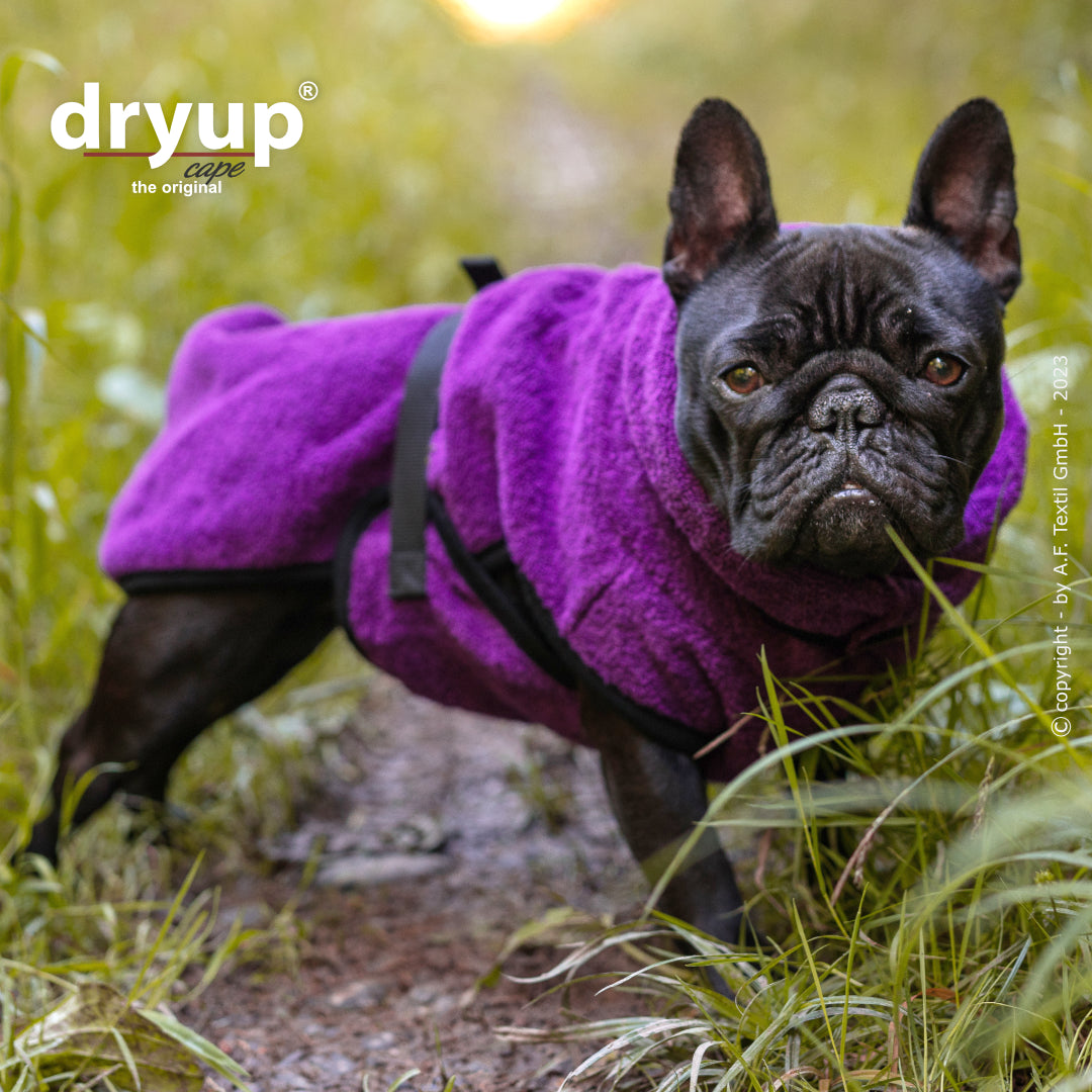 Actionfactory - Dryup Cape Mops & Co - Hundebademantel