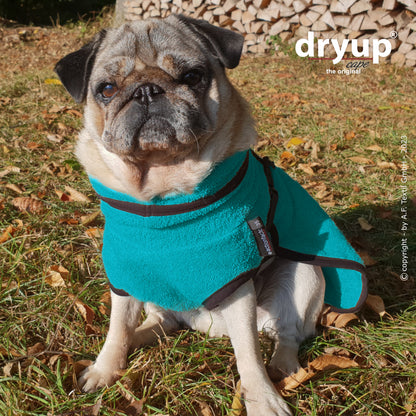 Actionfactory - Dryup Cape Mops & Co - Hundebademantel