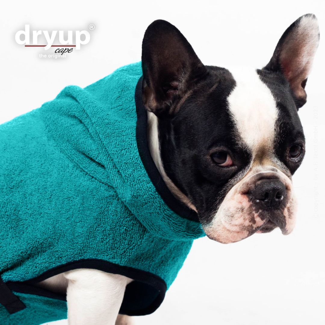 Actionfactory - Dryup Cape Mops & Co - Hundebademantel