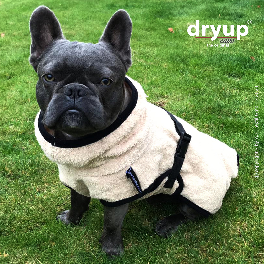 Actionfactory - Dryup Cape Mops & Co - Hundebademantel