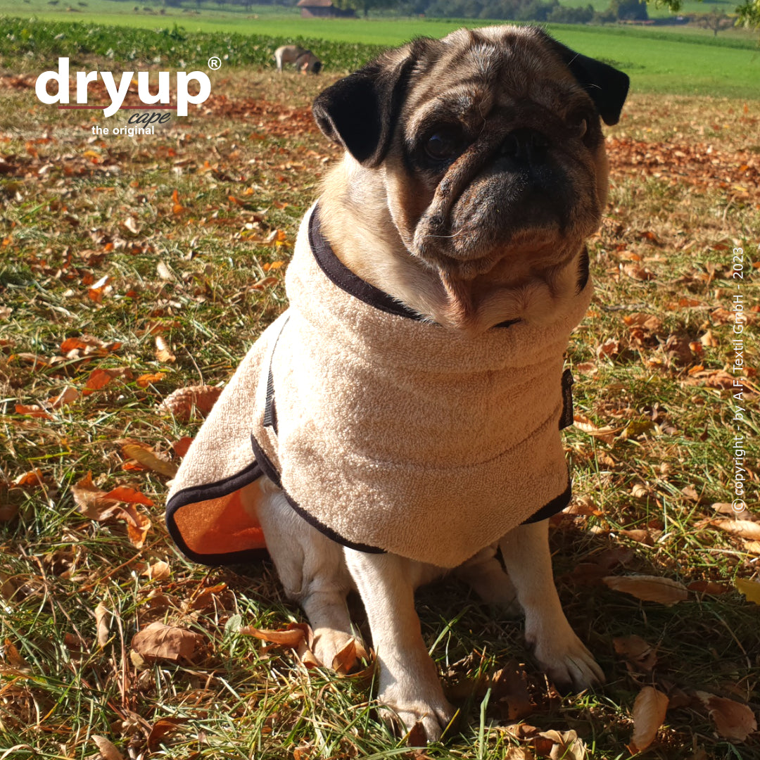 Actionfactory - Dryup Cape Mops & Co - Hundebademantel