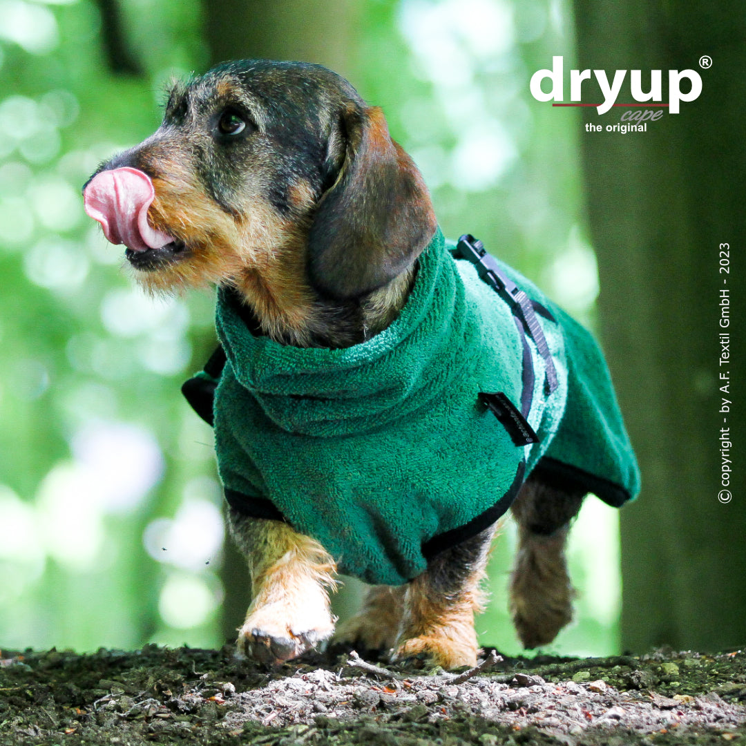Actionfactory - Dryup Cape Dackel - Hundebademantel
