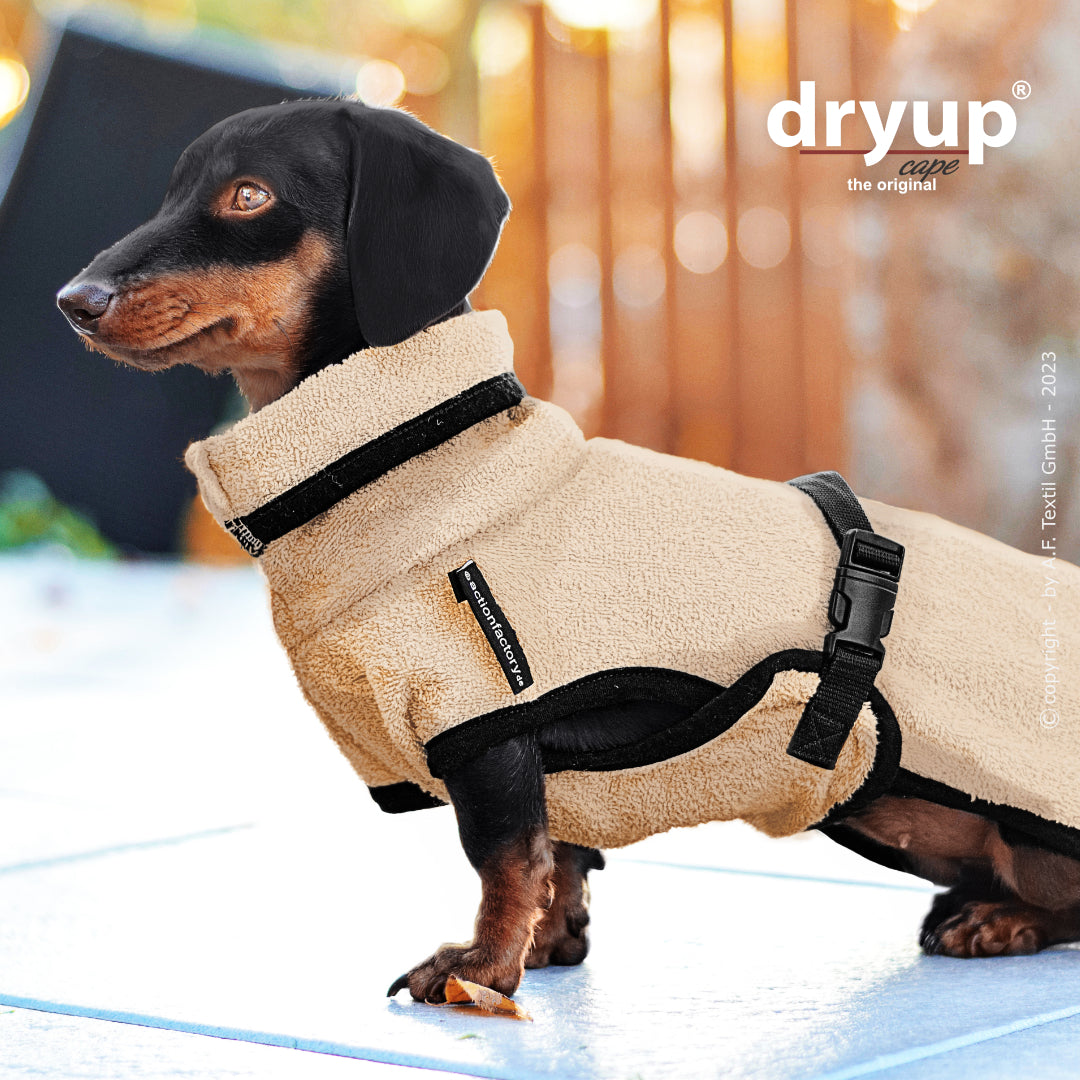 Actionfactory - Dryup Cape Dackel - Hundebademantel