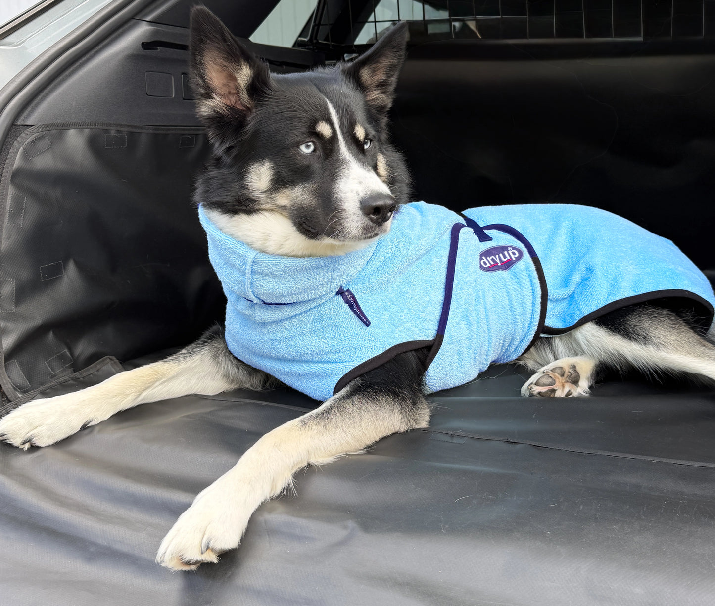 Actionfactory - Dryup Cape - Hundebademantel