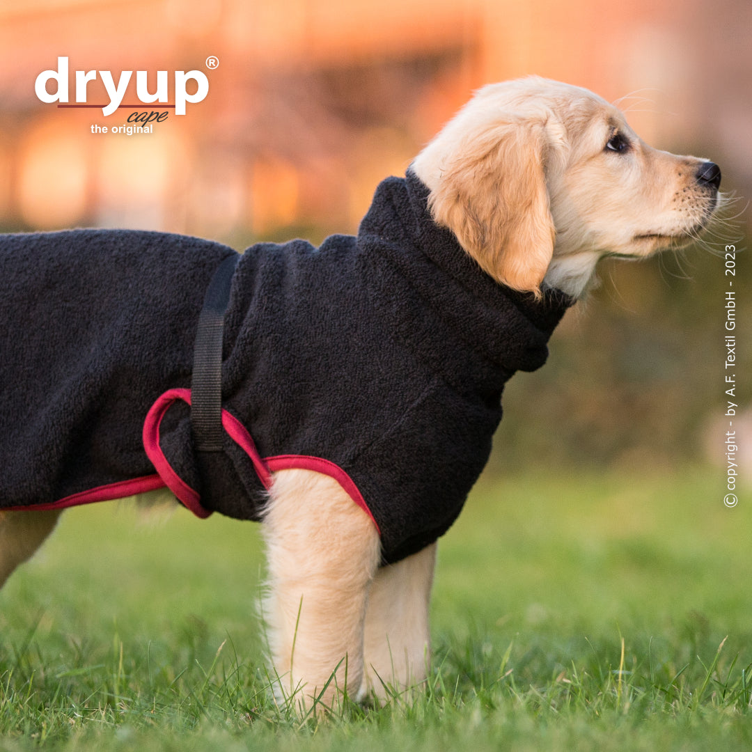Actionfactory - Dryup Cape Mini - Hundebademantel