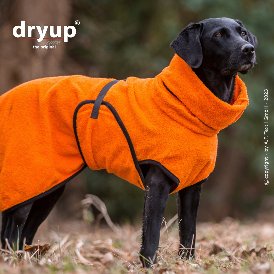 Actionfactory - Dryup Cape - Hundebademantel
