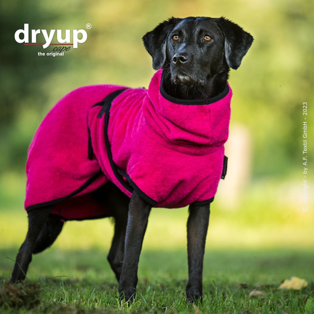 Actionfactory - Dryup Cape - Hundebademantel