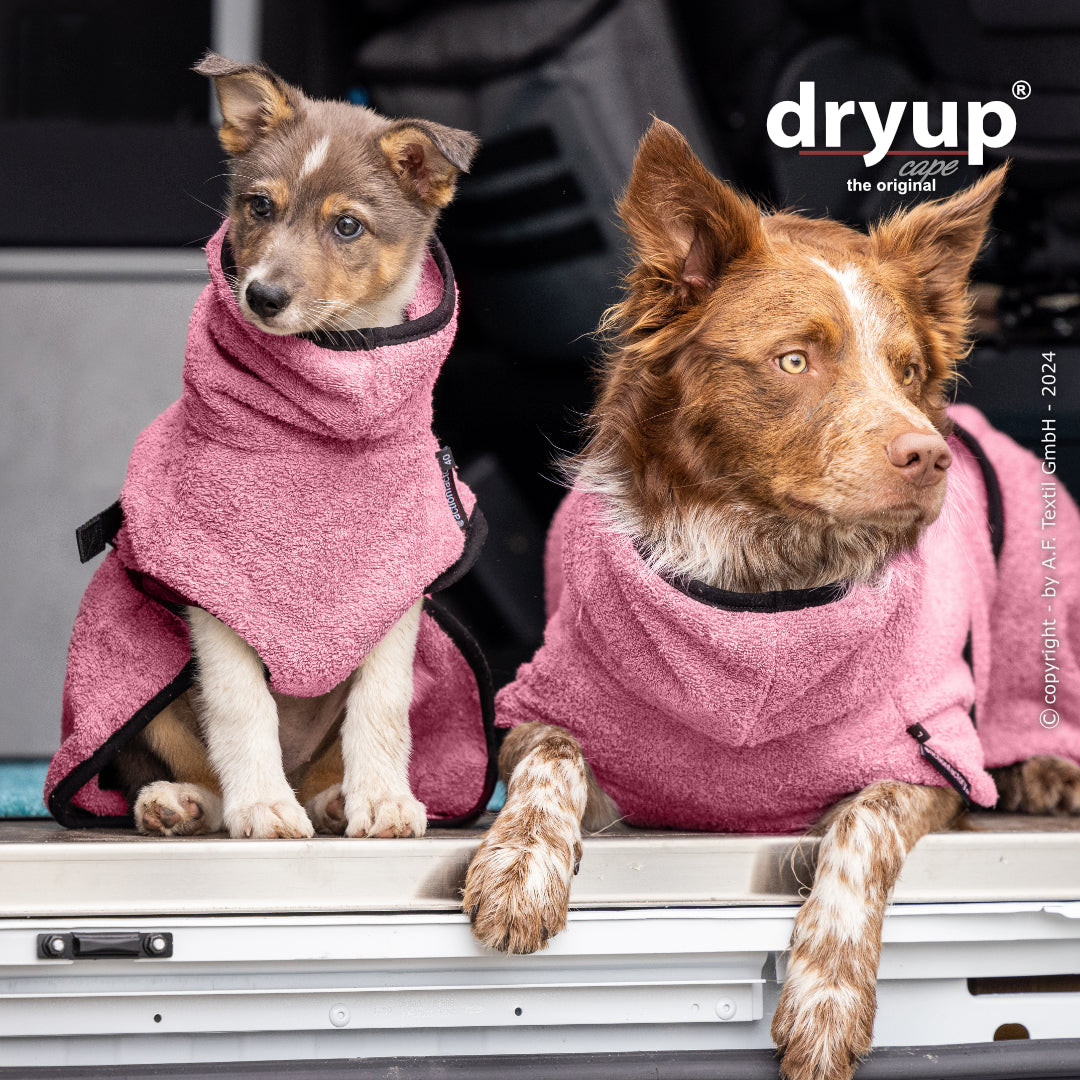 Actionfactory - Dryup Cape - Hundebademantel