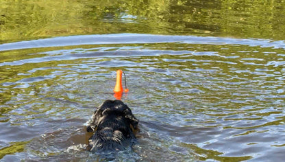 Dog Comets - Bobber Orange