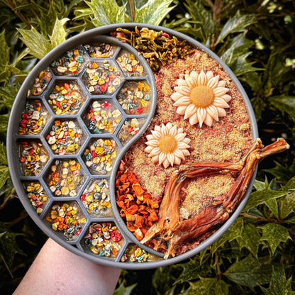Rainbow Dogfetti - Hundekonfetti 90g Glas