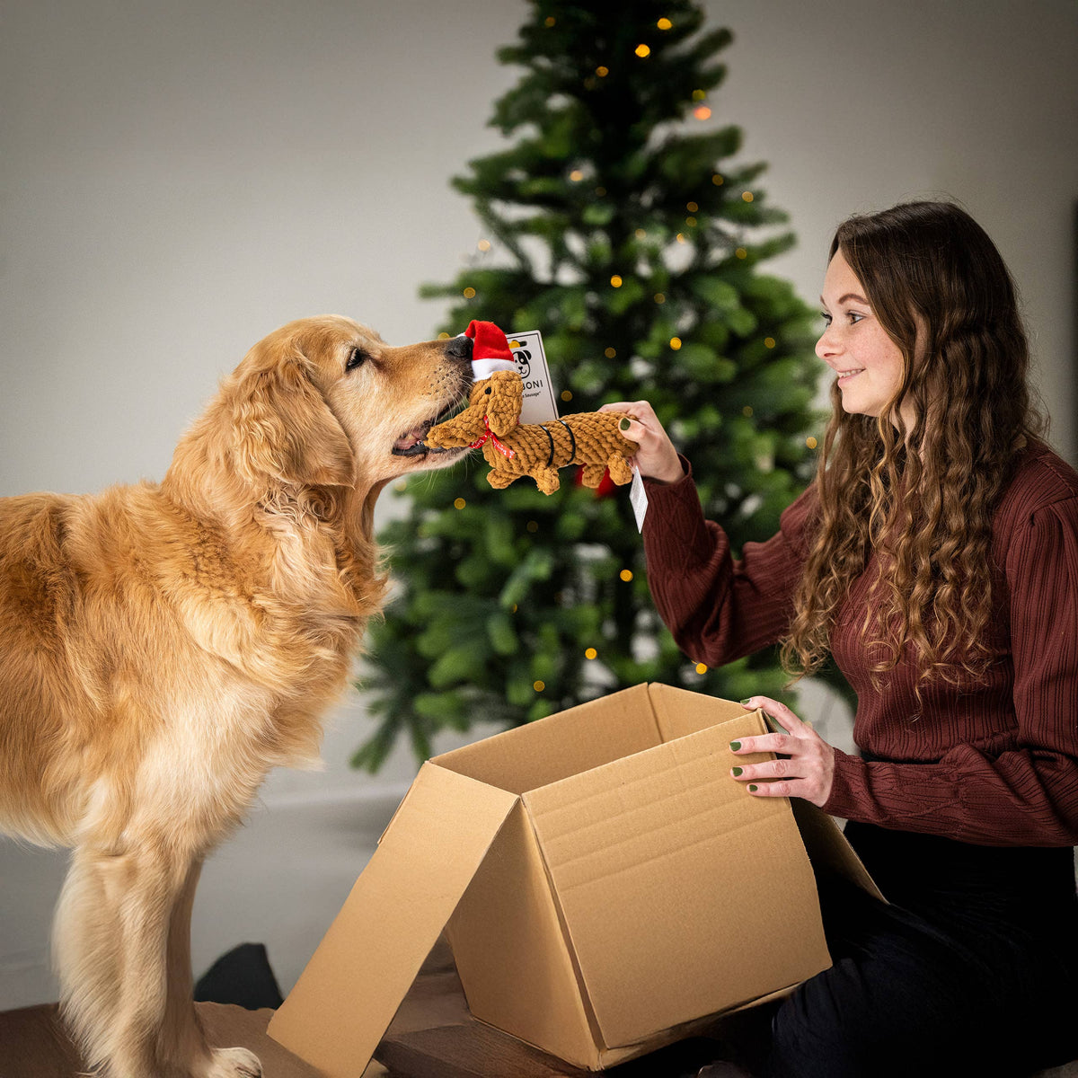 Christmas Dog Toy Dachshund – SANTA SAUSAGE