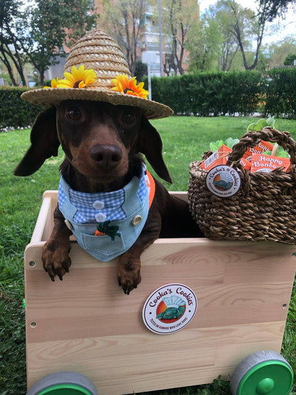 Happy Bonbons - Knusprige Leckerlis mit Pute & Sardinen für Hunde