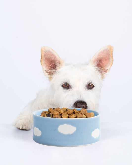 Cloud Stoneware Bowl - 14 cm, blue