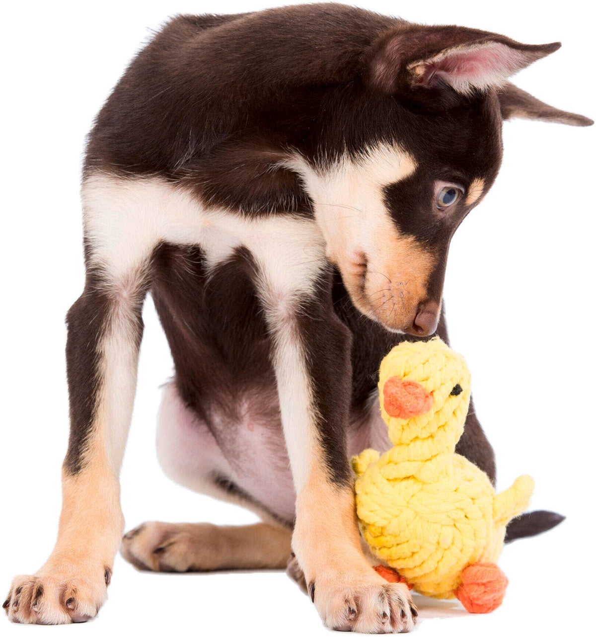 LABONI Cotton Toy - EMMA DUCK