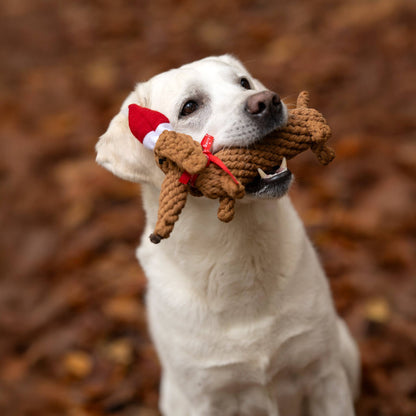 Christmas Dog Toy Dachshund – SANTA SAUSAGE