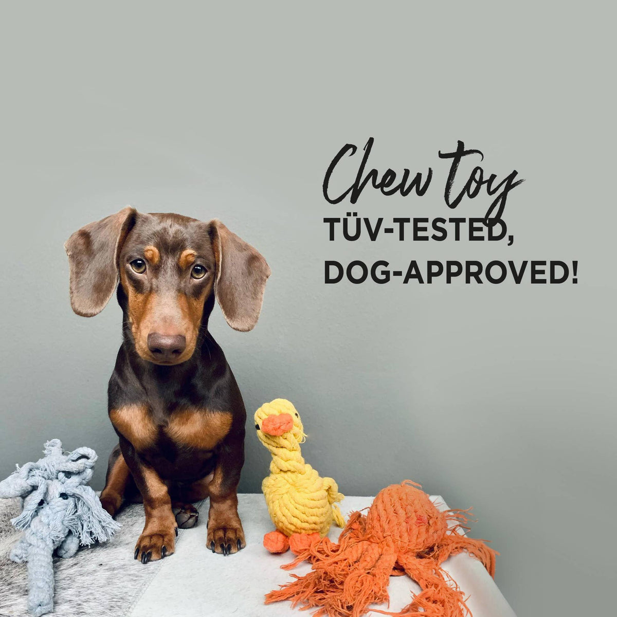 Christmas Dog Toy Dachshund – SANTA SAUSAGE
