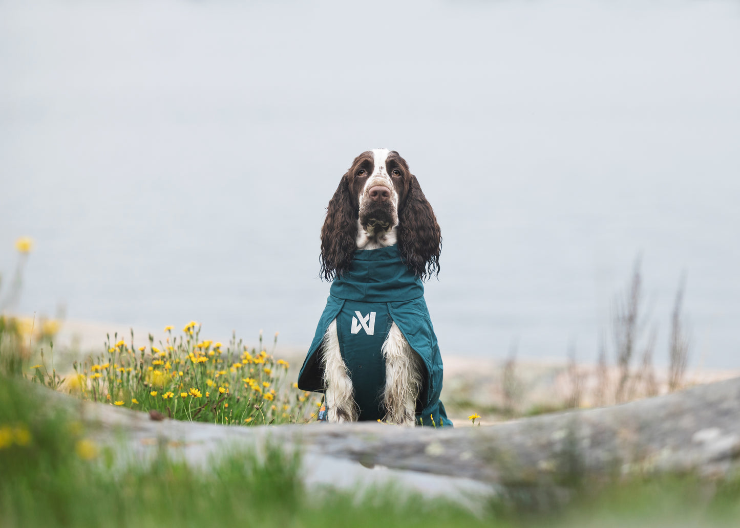Non-stop dogwear - Fjord lined Raincoat