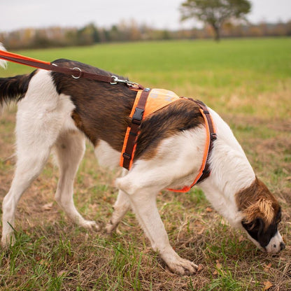 AnnyX Suchhund-Brustgeschirr