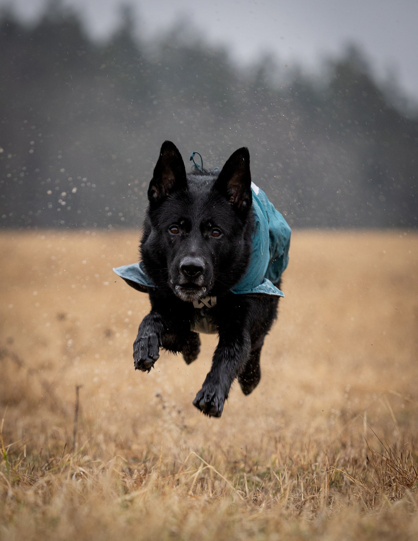 Non-stop dogwear - Fjord lined Raincoat