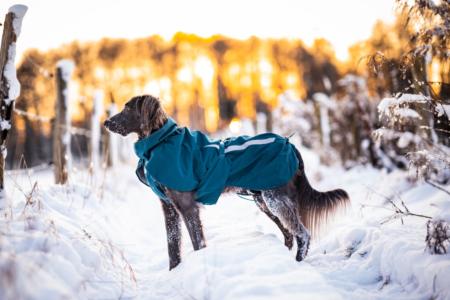 Non-stop dogwear - Fjord lined Raincoat
